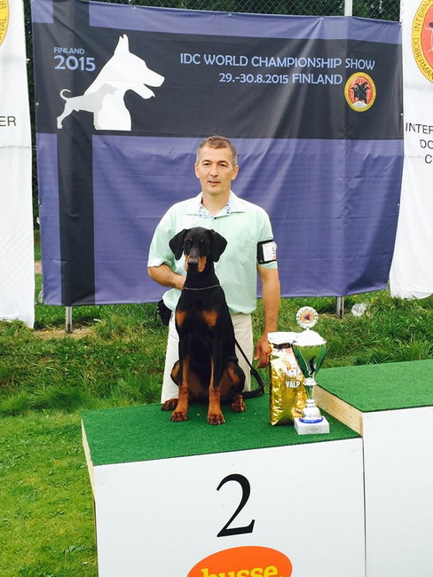 Dobergaarden Forever TomTom